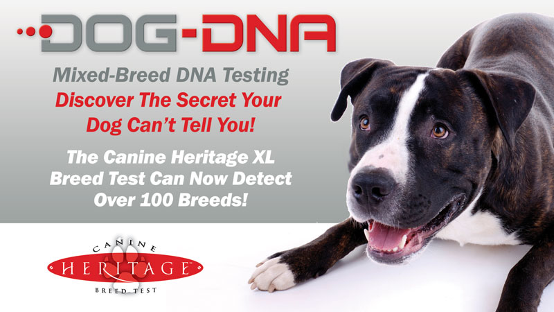 Dog-DNA.com